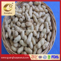 Washed Peanut Kernels 11/13 with High Export Quality